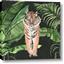 Picture of Tiger in the Jungle