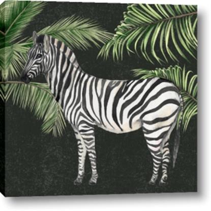 Picture of Zebra In The Jungle