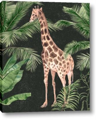 Picture of Giraffe In The Jungle