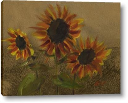 Picture of Sunflower In The Evening II