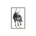 Picture of Black Cariboo _GroupedProduct_Rectangle_Portrait_Canvas_Framed_