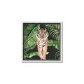 Picture of Tiger in the Jungle _GroupedProduct_Square_Canvas_Framed_