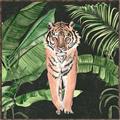 Picture of Tiger in the Jungle _GroupedProduct_Square_Canvas_Framed_