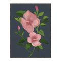Picture of Pink Tropical Flower _GroupedProduct_Rectangle_Portrait_Canvas_Framed_