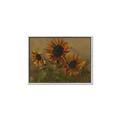 Picture of Sunflower In The Evening II _GroupedProduct_Rectangle_Landscape_Canvas_Framed_