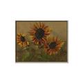 Picture of Sunflower In The Evening II _GroupedProduct_Rectangle_Landscape_Canvas_Framed_