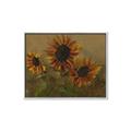 Picture of Sunflower In The Evening II _GroupedProduct_Rectangle_Landscape_Canvas_Framed_