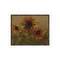 Picture of Sunflower In The Evening II _GroupedProduct_Rectangle_Landscape_Canvas_Framed_