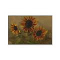 Picture of Sunflower In The Evening II _GroupedProduct_Rectangle_Landscape_Canvas_Framed_