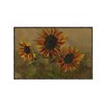 Picture of Sunflower In The Evening II _GroupedProduct_Rectangle_Landscape_Canvas_Framed_