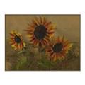 Picture of Sunflower In The Evening II _GroupedProduct_Rectangle_Landscape_Canvas_Framed_