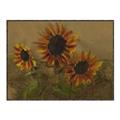 Picture of Sunflower In The Evening II _GroupedProduct_Rectangle_Landscape_Canvas_Framed_