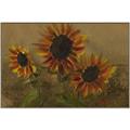 Picture of Sunflower In The Evening II _GroupedProduct_Rectangle_Landscape_Canvas_Framed_