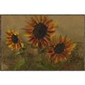 Picture of Sunflower In The Evening II _GroupedProduct_Rectangle_Landscape_Canvas_Framed_
