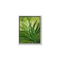 Picture of Fresh Palm Leaves I _GroupedProduct_Rectangle_Portrait_Canvas_Framed_