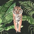 Picture of Tiger in the Jungle _GroupedProduct_Square_Unframed_Print_Only_
