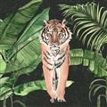 Picture of Tiger in the Jungle _GroupedProduct_Square_Unframed_Print_Only_