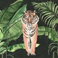 Picture of Tiger in the Jungle _GroupedProduct_Square_Unframed_Print_Only_