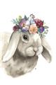 Picture of Sweet Floral Bunny _GroupedProduct_Rectangle_Portrait_Unframed_Print_Only_