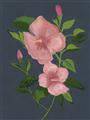 Picture of Pink Tropical Flower _GroupedProduct_Rectangle_Portrait_Unframed_Print_Only_