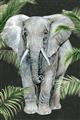 Picture of Elephant In The Forest _GroupedProduct_Rectangle_Portrait_Unframed_Print_Only_