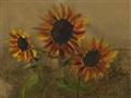 Picture of Sunflower In The Evening II _GroupedProduct_Rectangle_Landscape_Unframed_Print_Only_