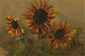Picture of Sunflower In The Evening II _GroupedProduct_Rectangle_Landscape_Unframed_Print_Only_