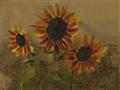 Picture of Sunflower In The Evening II _GroupedProduct_Rectangle_Landscape_Unframed_Print_Only_
