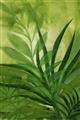 Picture of Fresh Palm Leaves I _GroupedProduct_Rectangle_Portrait_Unframed_Print_Only_