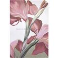 Picture of Dancing Tulip _GroupedProduct_Rectangle_Portrait_Unframed_Print_Only_