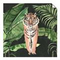 Picture of Tiger in the Jungle _GroupedProduct_Square_Unframed_Print_Only_