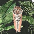 Picture of Tiger in the Jungle _GroupedProduct_Square_Unframed_Print_Only_