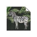 Picture of Zebra In The Jungle _GroupedProduct_Square_Unframed_Print_Only_