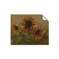 Picture of Sunflower In The Evening II _GroupedProduct_Rectangle_Landscape_Unframed_Print_Only_