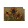 Picture of Sunflower In The Evening II _GroupedProduct_Rectangle_Landscape_Unframed_Print_Only_