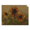 Picture of Sunflower In The Evening II _GroupedProduct_Rectangle_Landscape_Unframed_Print_Only_