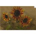 Picture of Sunflower In The Evening II _GroupedProduct_Rectangle_Landscape_Unframed_Print_Only_