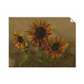 Picture of Sunflower In The Evening II _GroupedProduct_Rectangle_Landscape_Unframed_Print_Only_