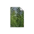 Picture of Fresh Palm Leaves II _GroupedProduct_Rectangle_Portrait_Unframed_Print_Only_