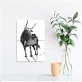 Picture of Black Cariboo _GroupedProduct_Rectangle_Portrait_Unframed_Print_Only_