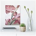 Picture of Dancing Tulip _GroupedProduct_Rectangle_Portrait_Unframed_Print_Only_
