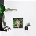 Picture of Tiger in the Jungle _GroupedProduct_Square_Unframed_Print_Only_