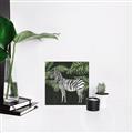 Picture of Zebra In The Jungle _GroupedProduct_Square_Unframed_Print_Only_