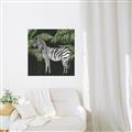 Picture of Zebra In The Jungle _GroupedProduct_Square_Unframed_Print_Only_