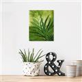 Picture of Fresh Palm Leaves I _GroupedProduct_Rectangle_Portrait_Unframed_Print_Only_