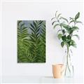Picture of Fresh Palm Leaves II _GroupedProduct_Rectangle_Portrait_Unframed_Print_Only_