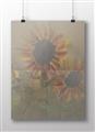 Picture of Sunflower In The Evening II _GroupedProduct_Rectangle_Landscape_Unframed_Print_Only_