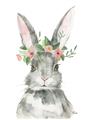 Picture of Floral Bunny _GroupedProduct_Rectangle_Portrait_Unframed_Print_Only_