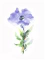 Picture of Purple Petunia I _GroupedProduct_Rectangle_Portrait_Unframed_Print_Only_