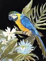 Picture of Parrot Paradise IV _GroupedProduct_Rectangle_Portrait_Unframed_Print_Only_